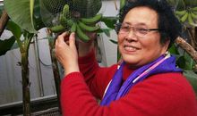 难忘的生态园实践活动