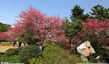 秋游杭州植物园