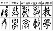 我身边的龙文化600字