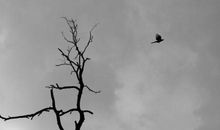 回“家”的感觉