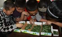 养蚕宝宝的乐趣