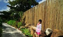 那段纯净的时光