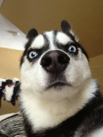 我的“麻烦制造者”