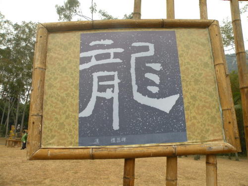 我们周围的龙文化600字