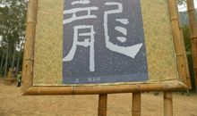 我们身边的龙文化600字