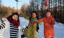 别具一格的冬日