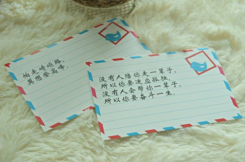 为了未来我