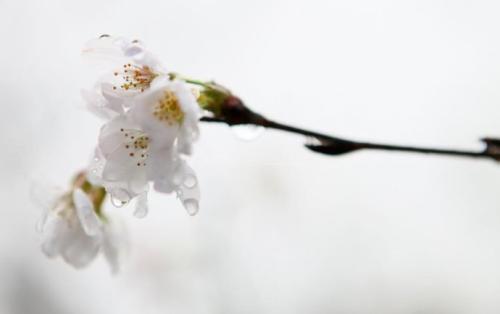 雨的悲伤