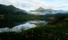 野趣十足的海南岛