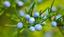 那件事使我后悔