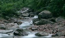 身边的龙文化作文