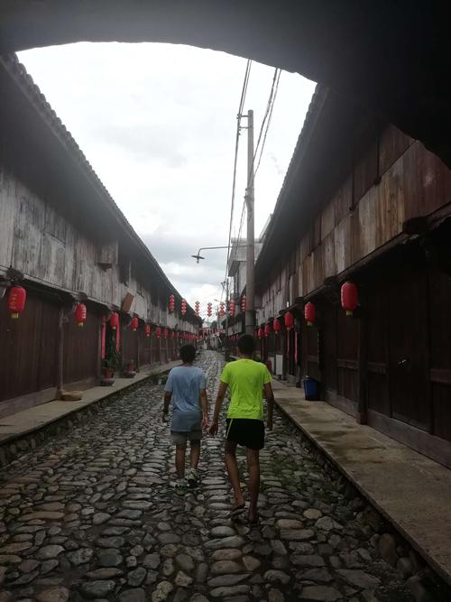 固执的回来