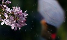 定格在记忆中的美