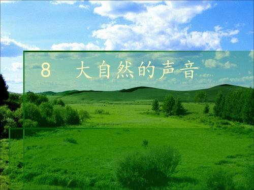 我喜欢自然音乐