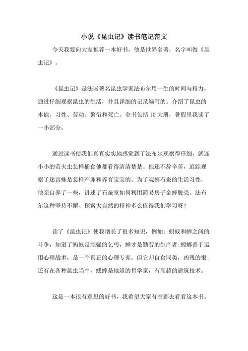 恒心的蚂蚁