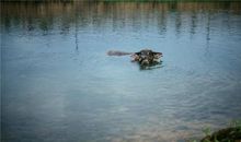 竹海奇幻漂流之旅