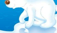 写北极熊的作文