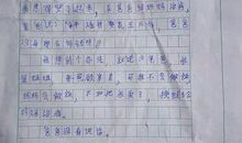 我的弟弟_100字