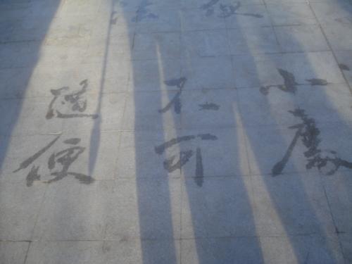 不要随便