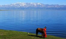 有你的地方就是蓝天