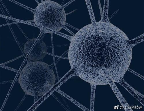 关于细菌的成分