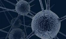 关于细菌的作文