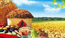 我爱丰收的秋天