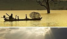 我渴望得到宁静