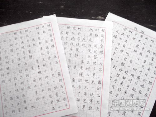 我学习书法的经验