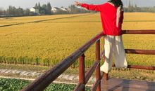 爱是一道美丽的风景线