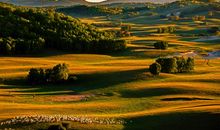 走进草原兔的幸福生活