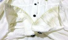 大树的“白衣裳”