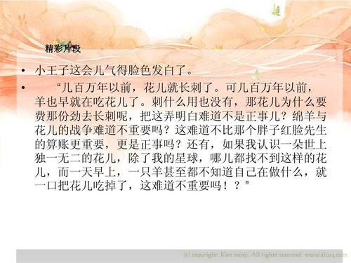 小王子读书报告