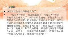 小王子读书报告