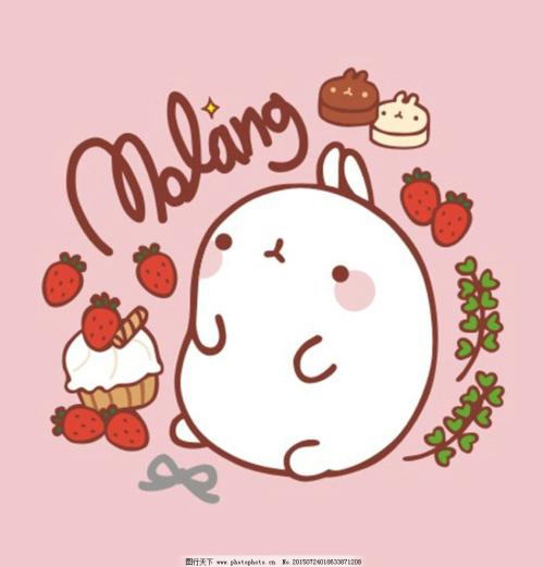 小白兔考试