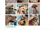 家因为有你而灵动