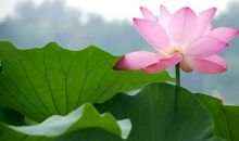 用岁月在泥土上写诗