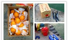 大襟岛上捉螃蟹