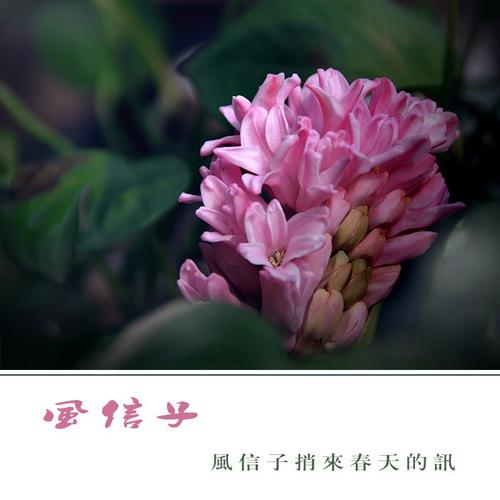 春天不能来的消息