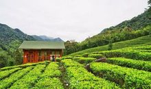 一道道美丽的风景