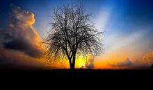 留在心中的那份忧伤