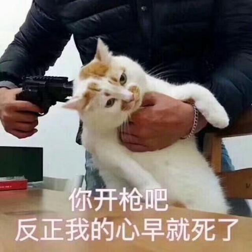 对于2035年的18岁