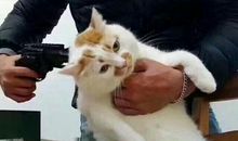 给2035年的十八岁