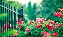 那一刻我明白了做什么事都要有耐心