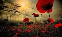 挫折是成功的垫脚石