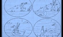 小猫过河看图写话