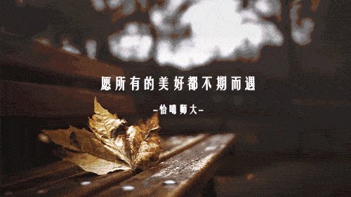 意想不到的美丽