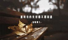 不期而遇的美好