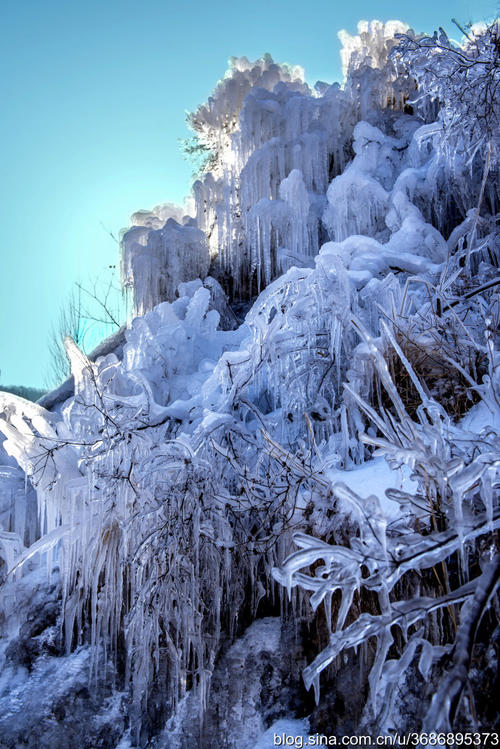 在寒冷的冬天失踪的亲戚