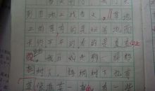 家乡的春天作文